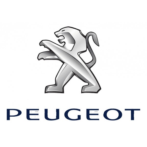 Calota Peugeot 2008 2017 Com Detalhe